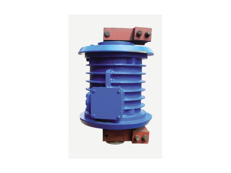 立式振動電機(jī)